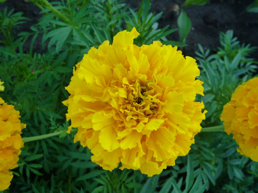 426507 (a): :1600x1200
